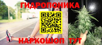 кокс Гусев