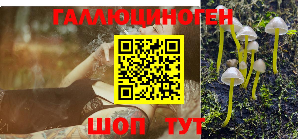 Истра  Псилоцибиновые грибы ЛСД  Вход с VPN 